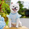 Lightweight Lace-Sleeve Pet Shirt for Cats and Dogs