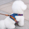 Adjustable Polyester Dog Harness for Everyday Walks | Moggold