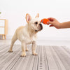 Latex Sports Ball Squeaky Dog Toy