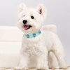 Faux Leather Collar with Gemstone-Inspired Detail for Dogs and Cats