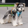 Dog Vest Harness and Leash