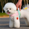 Nylon Dog Leash with Vest-Style Harness