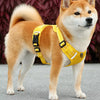 Vest-Style Dog Harness with Round Leash