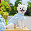 Lightweight Lace-Sleeve Pet Shirt for Cats and Dogs