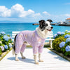 Mesh Four-Leg Dog Outfit