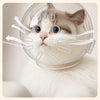 Clear Plastic Cat Cone for Grooming and Care