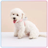 Y-Shaped Dog Harness for Small to Medium Dogs