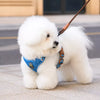 Adjustable Polyester Dog Harness for Everyday Walks | Moggold