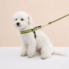 Y-Shaped Dog Harness for Small to Medium Dogs