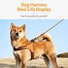 Vest-Style Dog Harness and Leash for Small to Medium Dogs