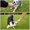 Latex Sports Ball Squeaky Dog Toy