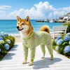 Mesh Four-Leg Dog Outfit