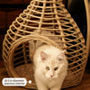 Handwoven Rattan Hanging Basket Cat Bed