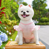 Lightweight Lace-Sleeve Pet Shirt for Cats and Dogs