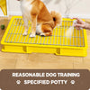 Dog Potty Training Tray with Grated Platform