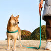 Vest-Style Dog Harness and Leash for Small to Medium Dogs