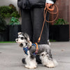 Dog Vest Harness and Leash
