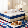 Memory Foam Pet Bed Pad for Small Dogs