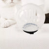 Clear Plastic Cat Cone for Grooming and Care