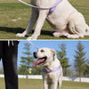 Nylon Dog Harness for Everyday Walks