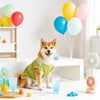 Lightweight Summer Pet Clothing for Dogs and Cats