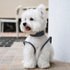 Lightweight Dog Vest for Warm-Weather Wear