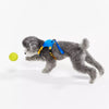 Integrated Nylon Dog Harness and Leash