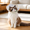 Elizabethan Cone Collar for Dogs, Plastic Design