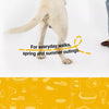 Lightweight Nylon Dog Harness and Leash Set