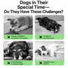 Dog Diapers for Male and Female Dogs