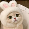 Animal-Themed Costume Hats for Small Cats and Dogs