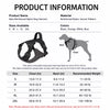 Adjustable Nylon Dog Harness with Leash