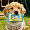 Interactive Tissue Box Squeaky Toy for Small and Medium Dogs