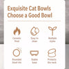Ceramic Angled Elevated Bowl for Cats and Dogs