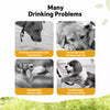 Portable Dog Water Bottle for Walks and Travel