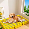 Dog Potty Training Tray with Grated Platform