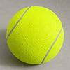 Small Nylon Tennis Ball-Style Dog Toy