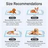 Disposable 7-Layer Dog Training Pee Pads