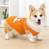 Lightweight Summer Dog Vest for Everyday Outings