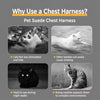 Adjustable Vest-Style Cat Harness with Flat Leash