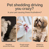 Self-Cleaning Pet Deshedding Brush for Dogs and Cats