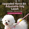 Nylon Dog Leash with Vest-Style Harness
