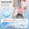 Shoulder Pet Carrier Bag for Small Dogs and Cats
