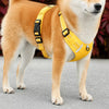 Vest-Style Dog Harness with Round Leash
