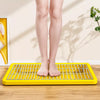 Dog Potty Training Tray with Grated Platform