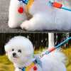 Nylon Dog Leash with Vest-Style Harness