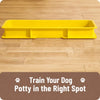 Dog Potty Training Tray with Grated Platform