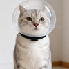Clear Plastic Cat Cone for Grooming and Care