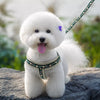 Small Dog Vest Harness for Everyday Walks