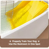 Dog Potty Training Tray with Grated Platform